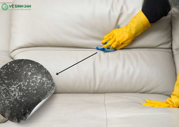 Vệ sinh ghế sofa hà nội (12) Vệ sinh ghế sofa hà nội (12)