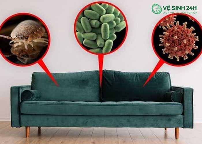Cách diệt mạt bụi trên sofa Hà Nội