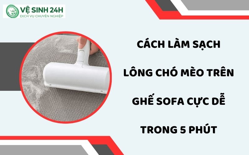 Làm sạch lông chó mèo trên ghế sofa
