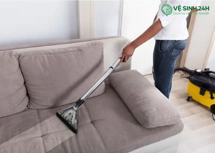 Làm sạch lông chó mèo trên ghế sofa (7)
