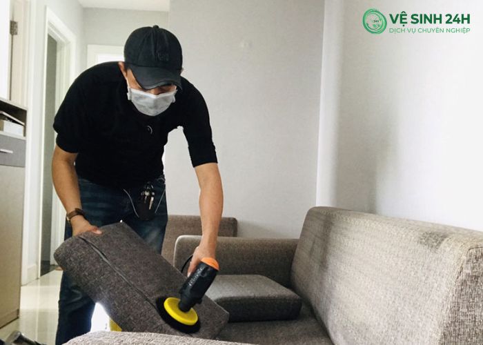 Làm sạch lông chó mèo trên ghế sofa (8)