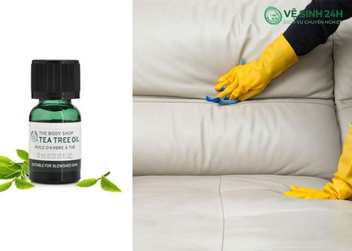 Tẩy vết mốc trên ghế sofa lâu ngày (4) Tẩy vết mốc trên ghế sofa lâu ngày (4)