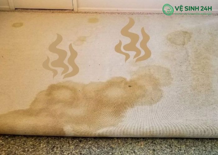 Cách làm sạch thảm văn phòng bị hôi Cách làm sạch thảm văn phòng bị hôi