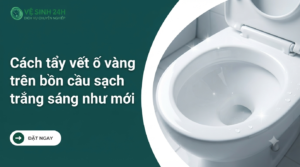 Cách tẩy vết ố vàng trên bồn cầu